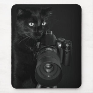 Lustige schwarze Katze mit der Kamera Mousepad