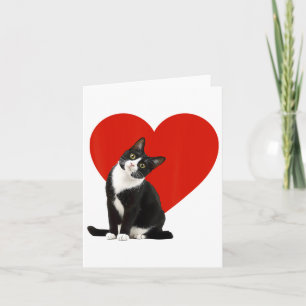 Lustige schwarze Katze Valentinstag Herz Smoking K Karte