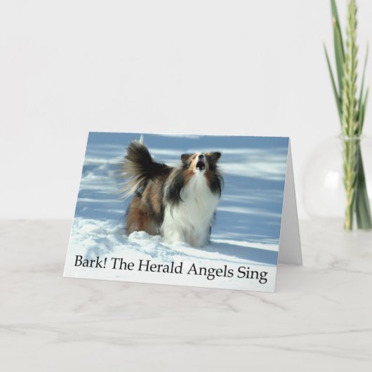 Lustige Sheltie Weihnachtskarte Feiertagskarte (Vorderseite)