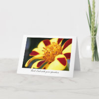 Lustige Spaßvogel-Ringelblume - Glück mit Ihrer