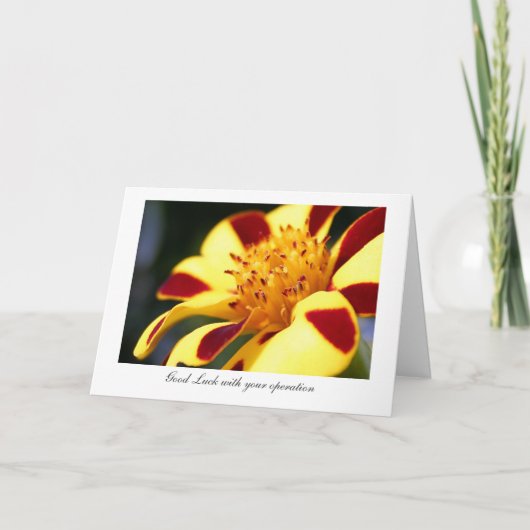 Lustige Spaßvogel-Ringelblume - Glück mit Ihrer Karte (Vorderseite)