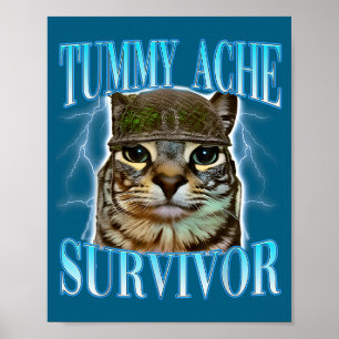 Lustige Sprüche Katzen Bauchweh Überlebender Katze Poster