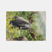 Lustige Stier-Elche Fleecedecke (Vorderseite (Horizontal))