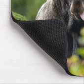 Lustige Stier-Elche Mousepad (Ecke)