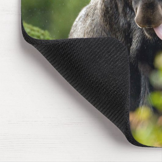 Lustige Stier-Elche Mousepad (Ecke)