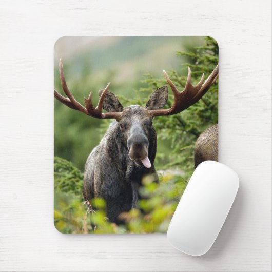 Lustige Stier-Elche Mousepad (Mit Mouse)