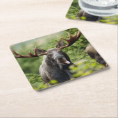 Lustige Stier-Elche Rechteckiger Pappuntersetzer (angewinkelt)