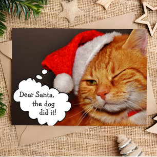 Lustige Süße Fröhliche Weihnachts Feiertags Katzen Feiertagskarte