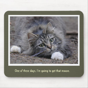 Lustige Tabby-Katze, die geht, diese Mausunterlage Mousepad