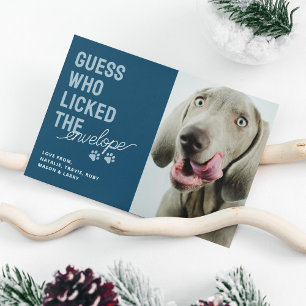 Lustige Tier-Foto geleckte Umschläge Weihnachtskar Feiertagskarte