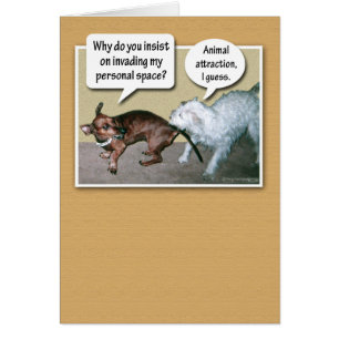 Lustige Tieranziehungskraft