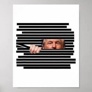 Lustige Trump schaut durch Schwärzungen Meme Polit Poster