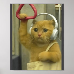 Lustige U-Bahn-Katzen-Meme-Hengst-Gehirnverrottung Poster