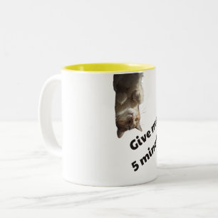 Lustige umgedrehte Katze gibt 5 Minuten Zweifarbige Tasse