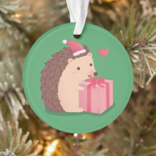 Lustige Unordentliche Frohe Weihnachten Igel Kinde Ornament