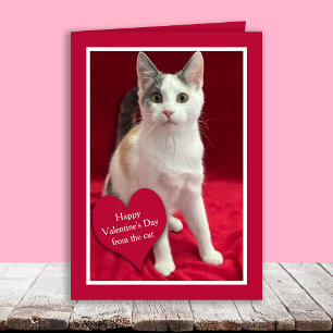 Lustige Valentinskarte von der Katze Feiertagskarte