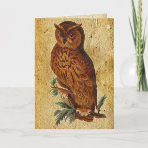 Lustige Vintage-Eule-Birthday-Karte Karte