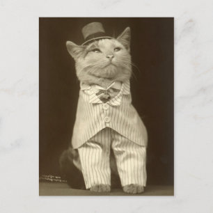 Lustige Vintage-Katze mit Anzug und Zylinder Postkarte