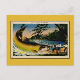 Lustige vintage übertriebene Fischerei Postkarte