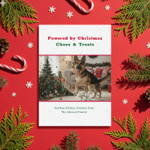 Lustige Vintage-Weihnachts-Foto von Hund