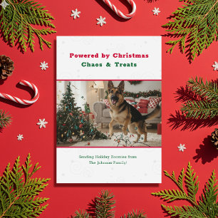 Lustige Vintage-Weihnachts-Foto von Hund Feiertagskarte