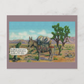 Lustige Vintage-Wüsten-Postkarte Postkarte (Vorderseite)