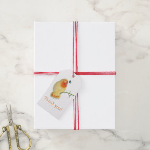 Lustige Vögel Baby Shower Geschenkanhänger von Bab