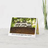 Lustige Waschbär-Geburtstags-Karte 2 Karte (Rückseite)