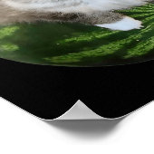 Lustige Wassermelonen-Katzen-Meme  Poster (Ecke)