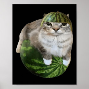 Lustige Wassermelonen-Katzen-Meme  Poster