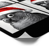 Lustige Weihnachten Green Cheek Conure Santa Foto  Poster (Ecke)