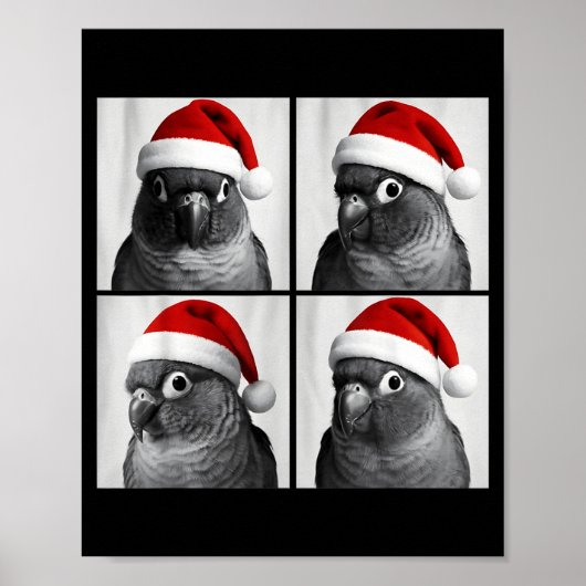 Lustige Weihnachten Green Cheek Conure Santa Foto  Poster (Vorne)