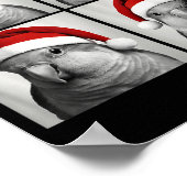 Lustige Weihnachts-Quaker-Papagei-Santa-Photobooth Poster (Ecke)