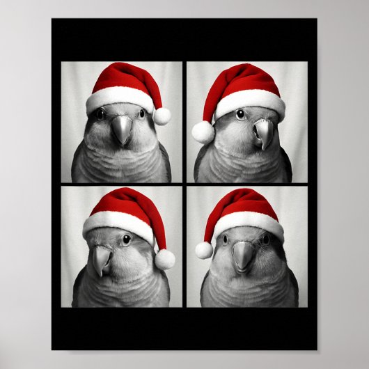 Lustige Weihnachts-Quaker-Papagei-Santa-Photobooth Poster (Vorne)