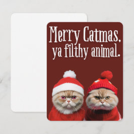 Lustige Weihnachtsgrüße von Santa-Katzen Feiertagskarte