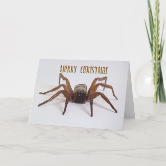 Lustige Weihnachtskarte Feiertagskarte (Vorderseite)