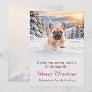 Lustige Weihnachtskarte für Hunde Süße Welpenfam Feiertagskarte