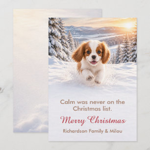 Lustige Weihnachtskarte für Hunde Süße Welpenfam Feiertagskarte