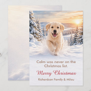 Lustige Weihnachtskarte für Hunde Süße Welpenfam Feiertagskarte