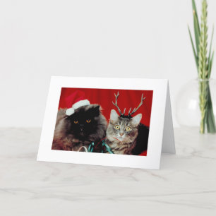 Lustige Weihnachtskarten-humorvolle Feiertagskarte