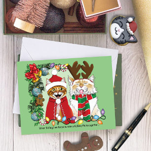 Lustige Weihnachtskatzen Feiertagsfoto Geschwister Karte
