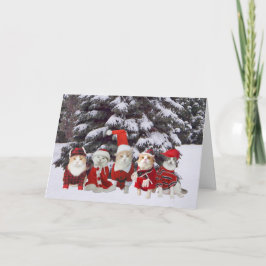 Lustige WeihnachtsMiezekatze-Katzen Feiertagskarte