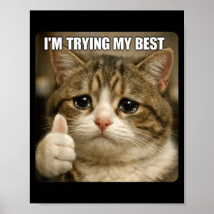 Lustige weinende Katze Meme für Männer Frauen Kind Poster