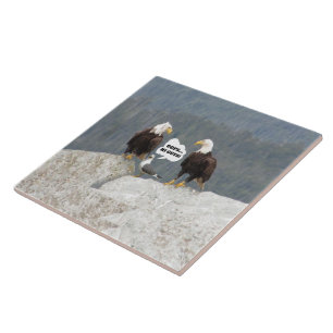 Lustige Weißkopfseeadler Möwe Wildlife Humor Küche Fliese