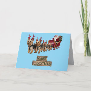 Lustige Yorkie-Weihnachtskarte Ankündigung