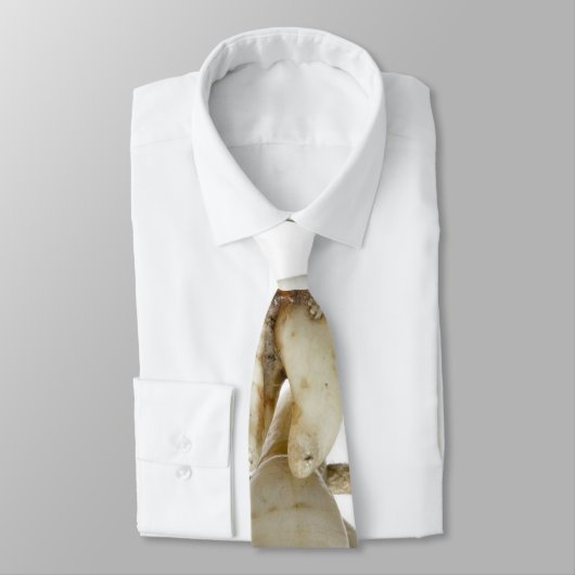 Lustige zahnmedizinische Fotografie extrahierter Krawatte (Gebunden)