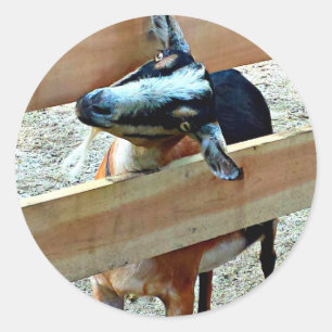 Lustige Ziege - Blatt der Aufkleber
