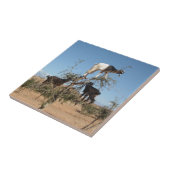 Lustige Ziegen in einem Baum Fliese (Seite)