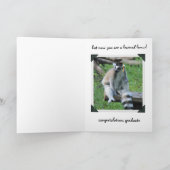 Lustiger Abschluss, Schimpanse-Träumer, Karte (Innenseite)