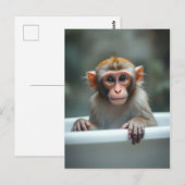 Lustiger Affe im Badezimmer Postkarte (Vorne/Hinten)
